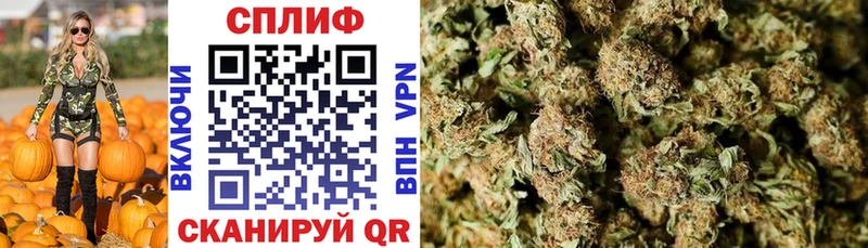 Марихуана MAZAR  купить наркотик  площадка Telegram  Усть-Лабинск  hydra маркетплейс 